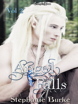 cover image of Angel Falls Volume 2